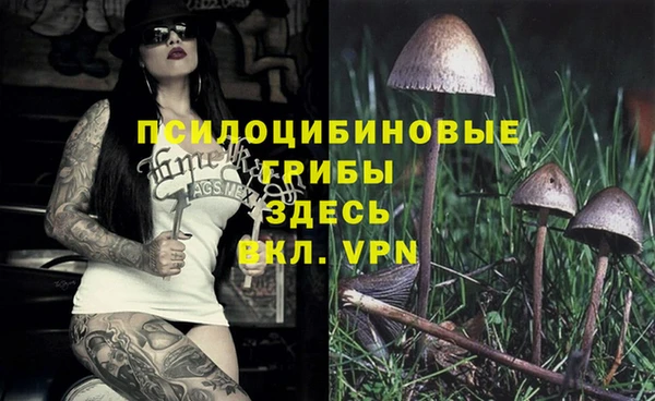 MDMA Premium VHQ Вяземский