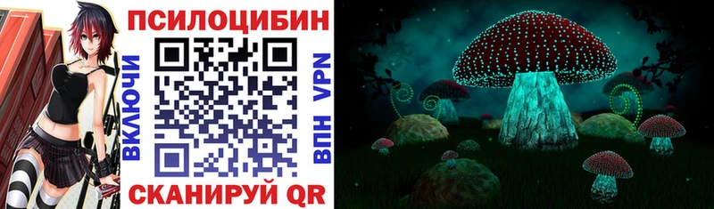 Галлюциногенные грибы Psilocybine cubensis Лангепас